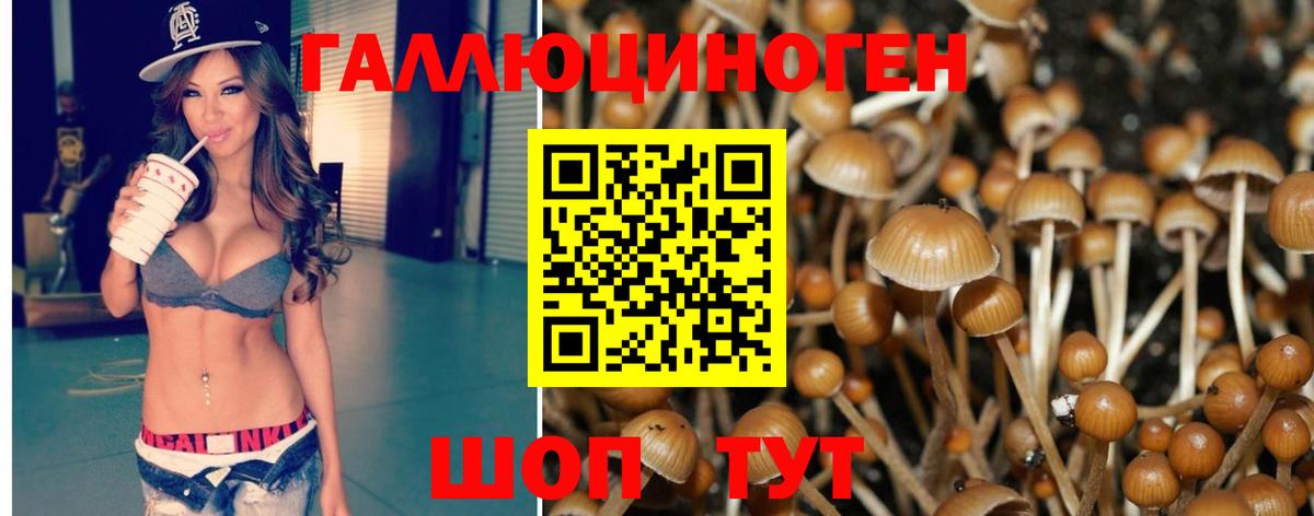 Галлюциногенные грибы мухоморы Отрадный