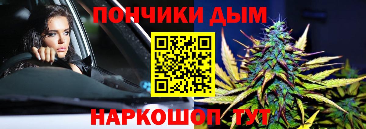 Канабис ГИДРОПОН Отрадный